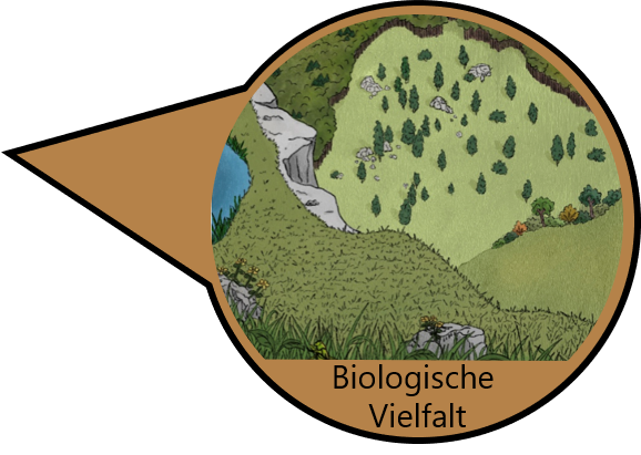 Naturraum Biodiversität