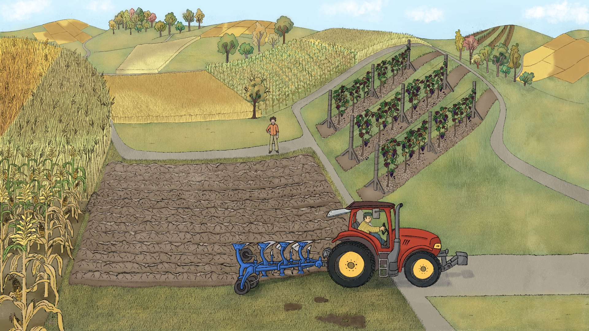 Landwirtschaft Zukunft